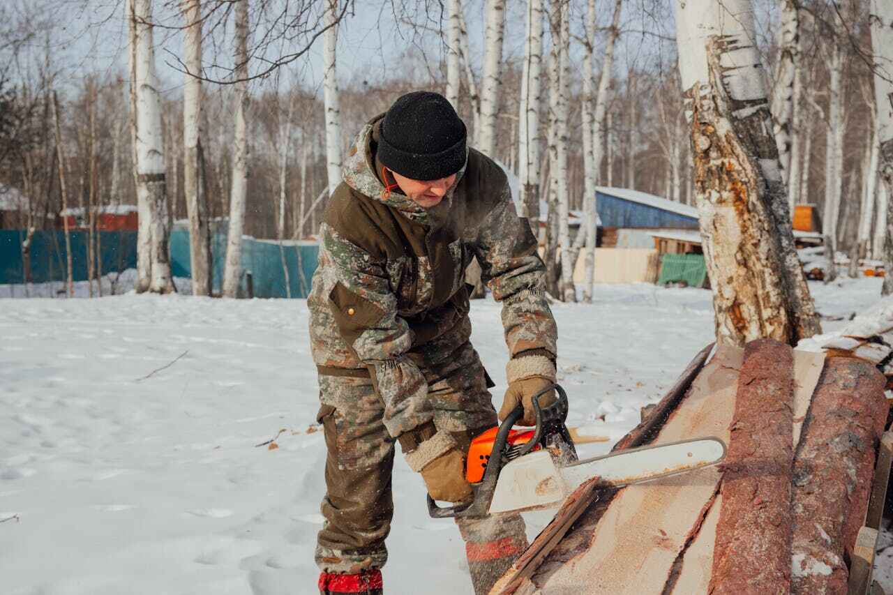 The Steps Involved in Our Tree Care Process in Bay City, TX